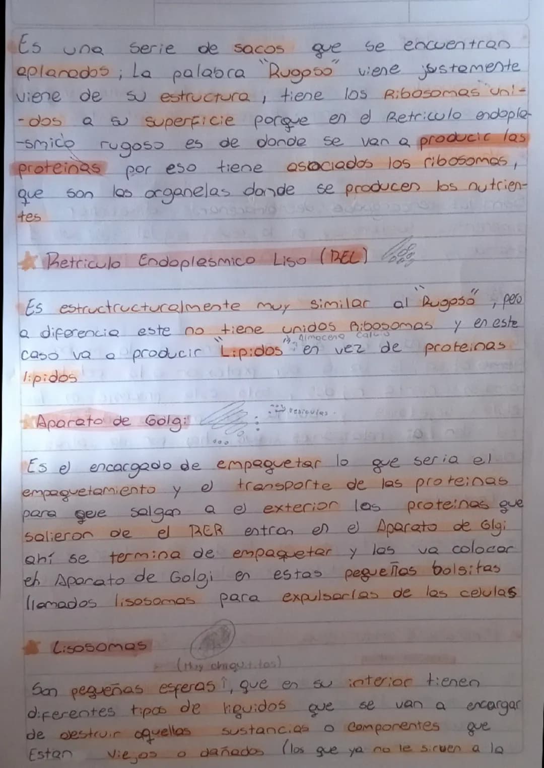 Resumen Biologia
LA Celula
Componentes Comunes
de toda célula
Hembrana plasmatica:
Azucares
Doble capa
de fosfolipidos
Proteinas
gooooooo Co