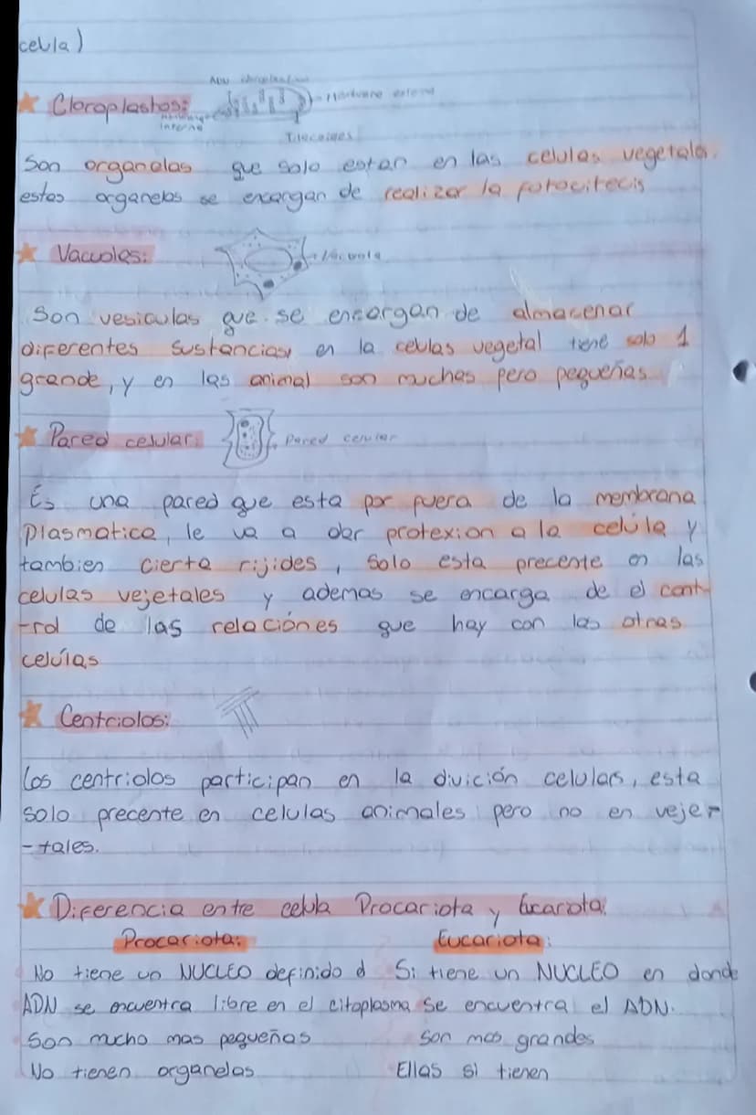Resumen Biologia
LA Celula
Componentes Comunes
de toda célula
Hembrana plasmatica:
Azucares
Doble capa
de fosfolipidos
Proteinas
gooooooo Co