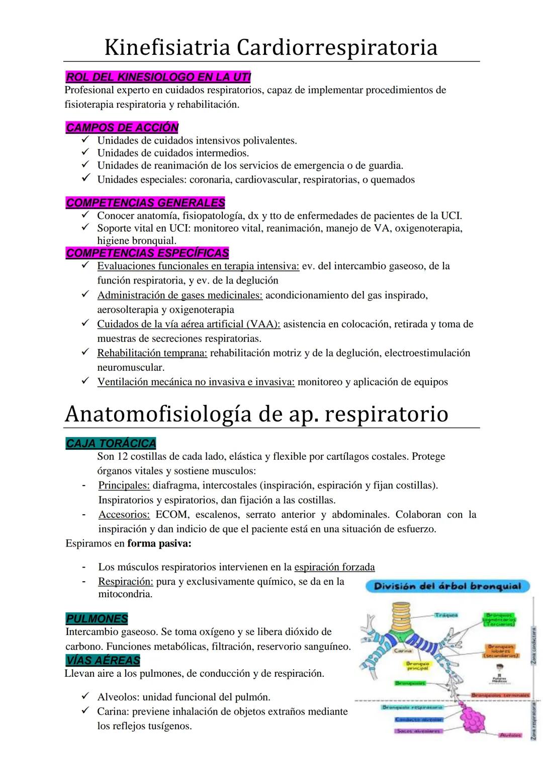 Kinefisiatria Cardiorrespiratoria
ROL DEL KINESIOLOGO EN LA UTI
Profesional experto en cuidados respiratorios, capaz de implementar procedim
