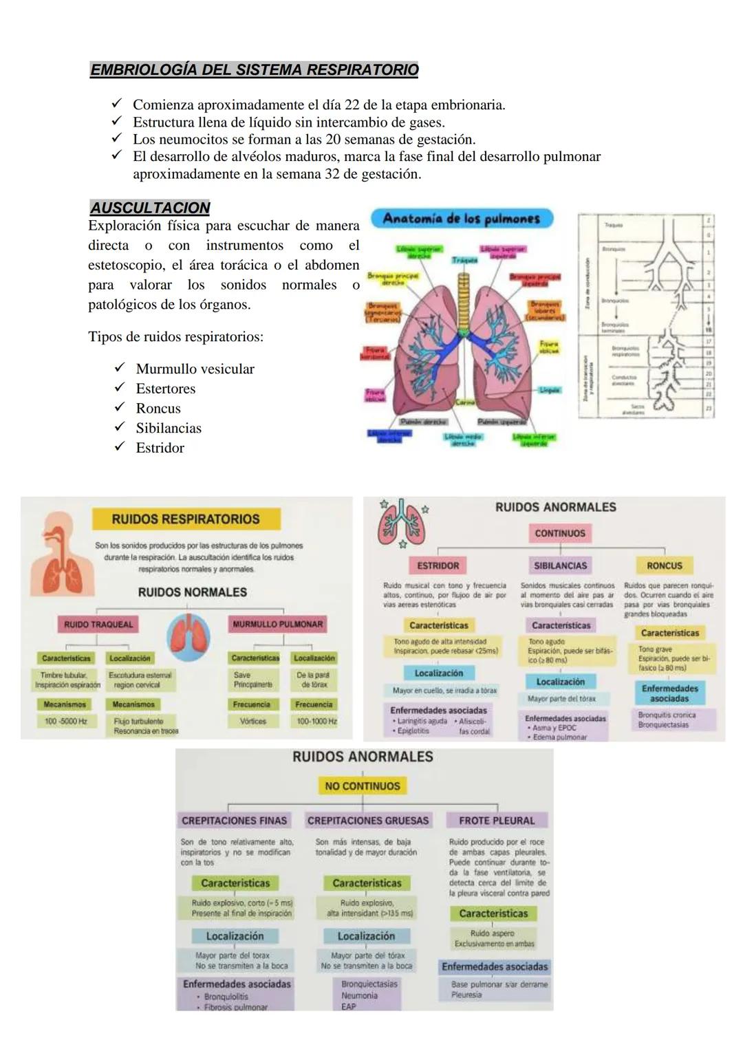 Kinefisiatria Cardiorrespiratoria
ROL DEL KINESIOLOGO EN LA UTI
Profesional experto en cuidados respiratorios, capaz de implementar procedim