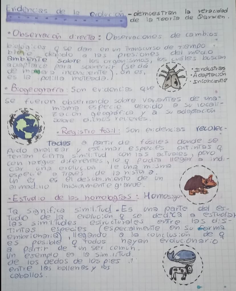 reguntar
resumien Evolucion Biologra
¿Qué es la evolución?
se anal Zah
Es un proceso biológico aplicado a una poblacion
en un lapso de tiemp