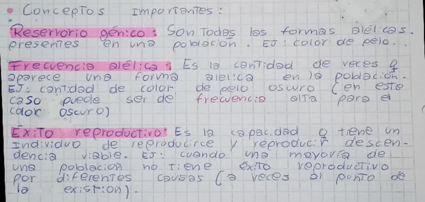 reguntar
resumien Evolucion Biologra
¿Qué es la evolución?
se anal Zah
Es un proceso biológico aplicado a una poblacion
en un lapso de tiemp