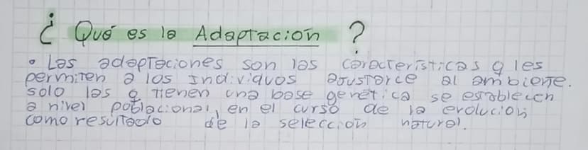 reguntar
resumien Evolucion Biologra
¿Qué es la evolución?
se anal Zah
Es un proceso biológico aplicado a una poblacion
en un lapso de tiemp