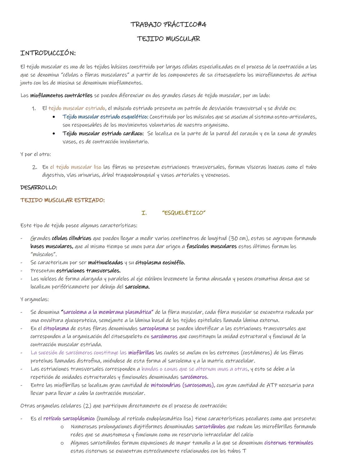 TRABAJO PRÁCTICO#4
TEJIDO MUSCULAR
INTRODUCCIÓN:
El tejido muscular es uno de los tejidos básicos constituido por largas células especializa