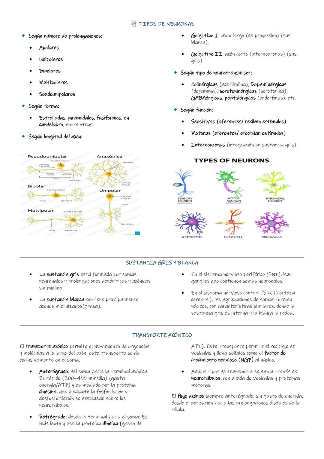 TRABAJO PRÁCTICO#4
TEJIDO MUSCULAR
INTRODUCCIÓN:
El tejido muscular es uno de los tejidos básicos constituido por largas células especializa