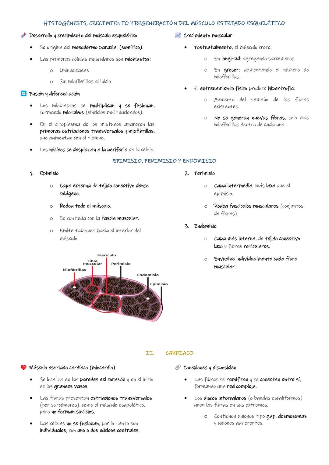 TRABAJO PRÁCTICO#4
TEJIDO MUSCULAR
INTRODUCCIÓN:
El tejido muscular es uno de los tejidos básicos constituido por largas células especializa