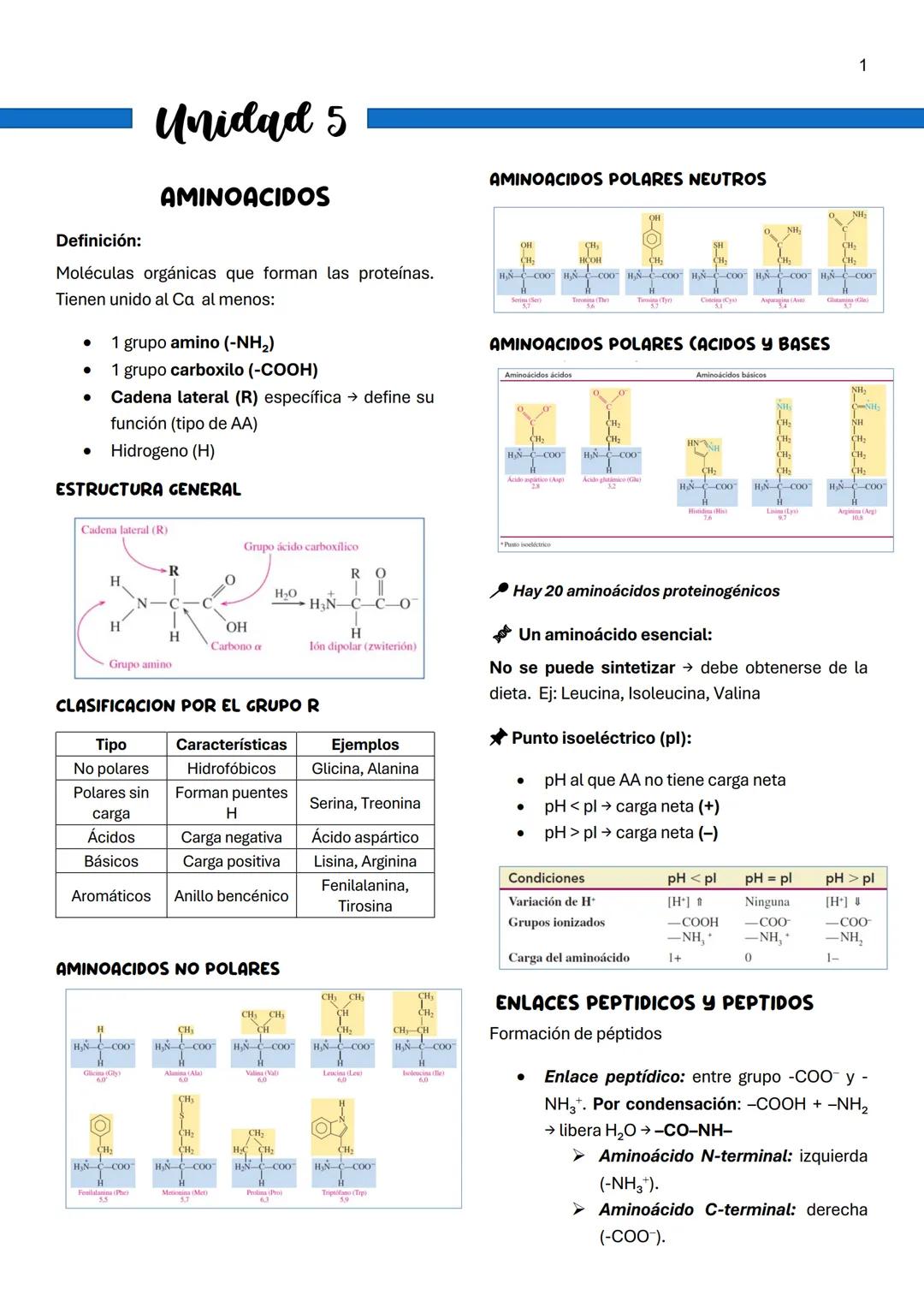 Guía Completa: Proteínas, Aminoácidos y Enzimas