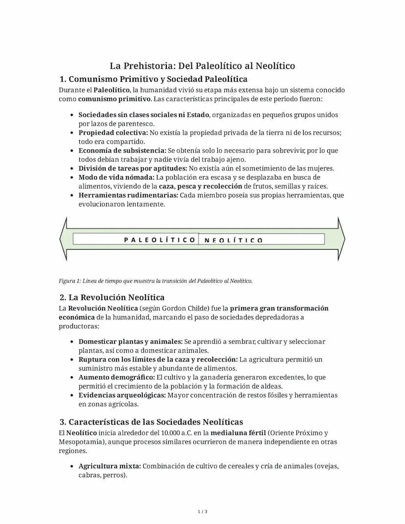 La Prehistoria: Del Paleolítico al Neolítico
1. Comunismo Primitivo y Sociedad Paleolítica
Durante el Paleolítico, la humanidad vivió su eta