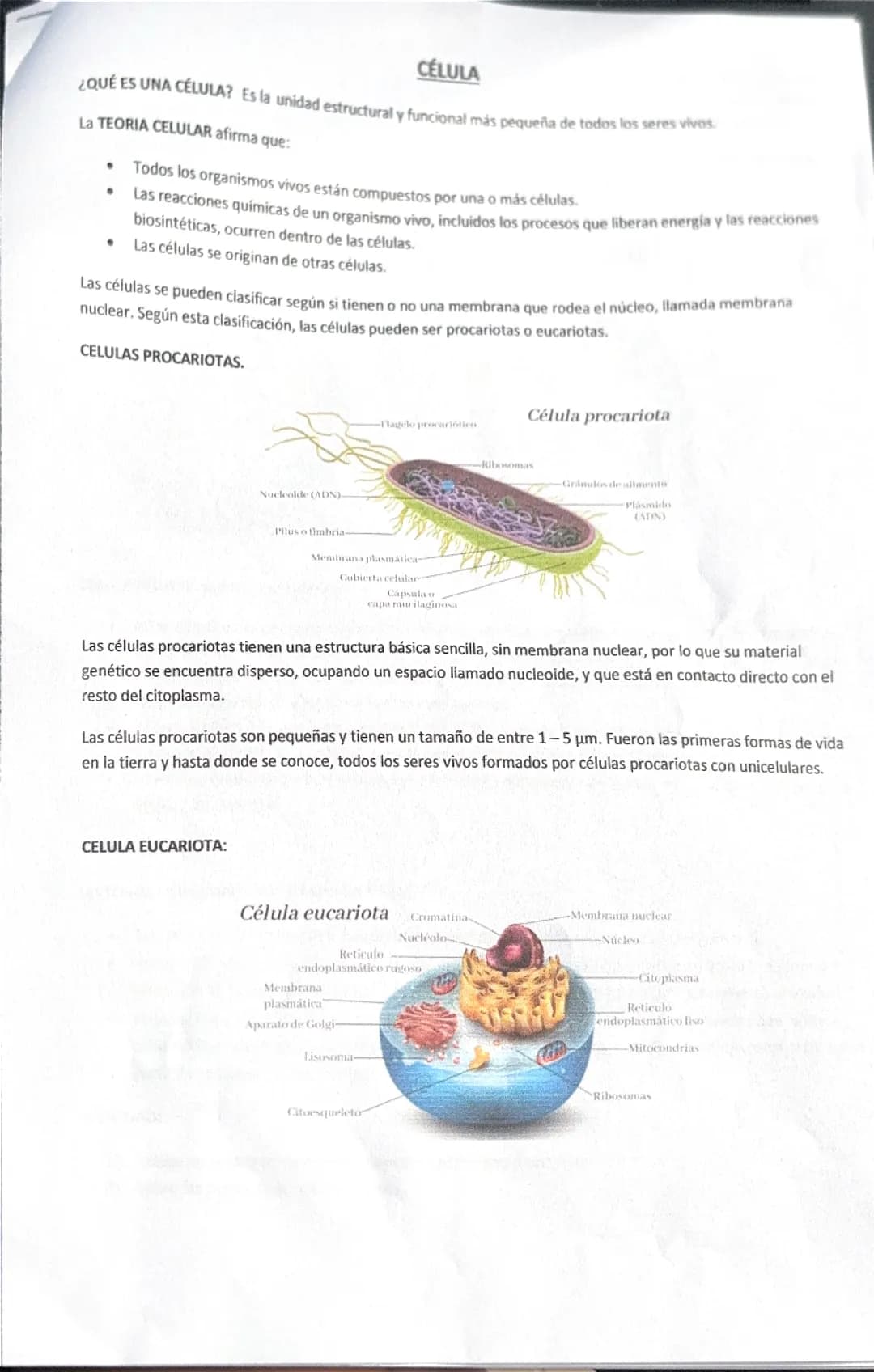  La Célula