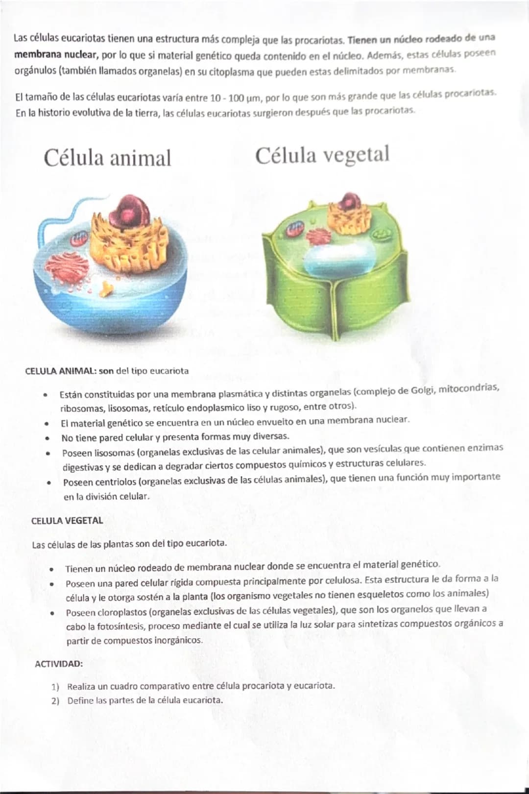 # CÉLULA
¿QUÉ ES UNA CÉLULA? Es la unidad estructural y funcional más pequeña de todos los seres vivos.
La TEORIA CELULAR afirma que:
- Todo