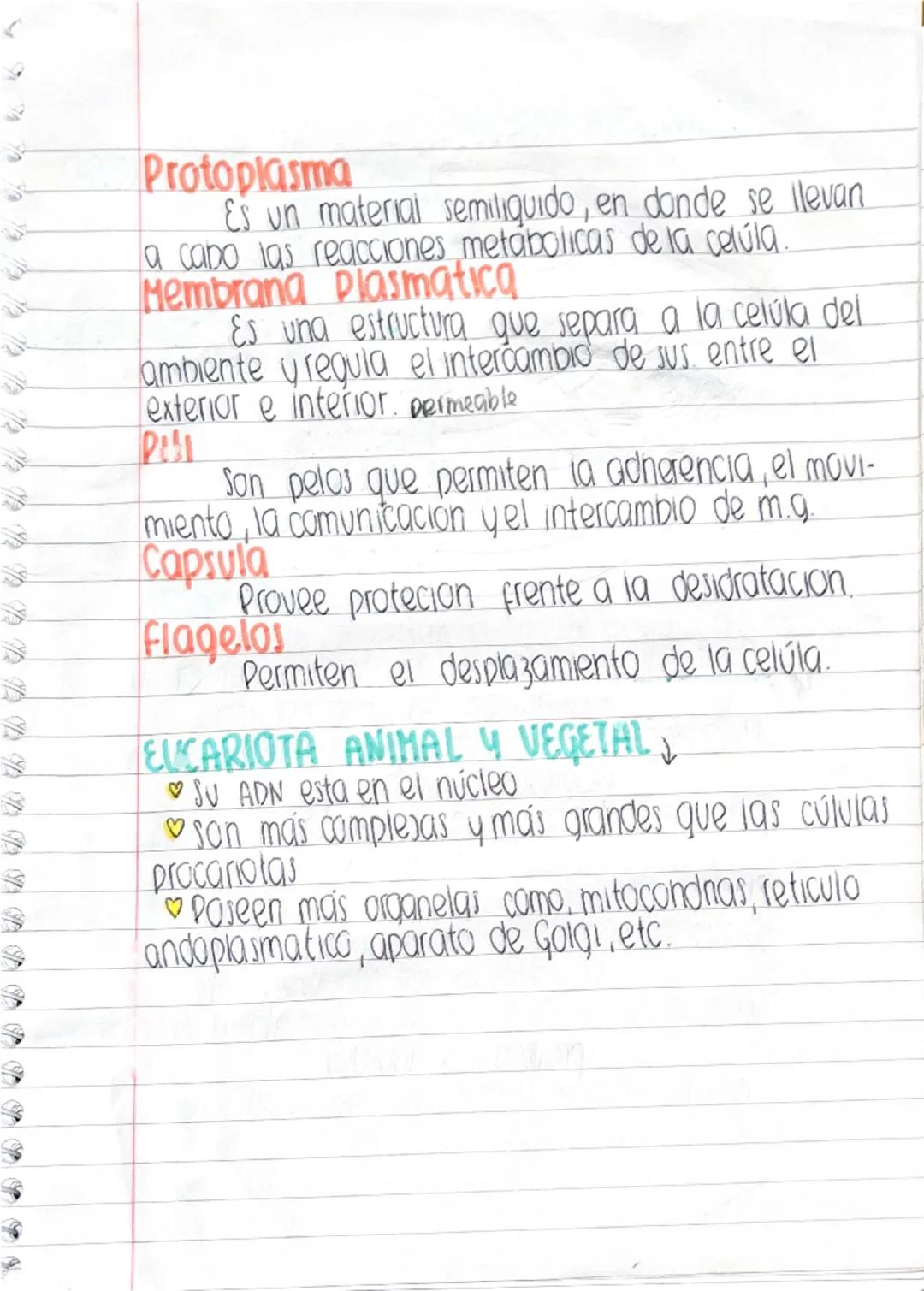 --- OCR Start ---
১
e
e
LUCIA
Merlo
Lucia
750
RESUMEN DE BIOLOGIA
TEORIA DE LA EVOLUCION
Lamarck decia que los organismos se onginaban
espon