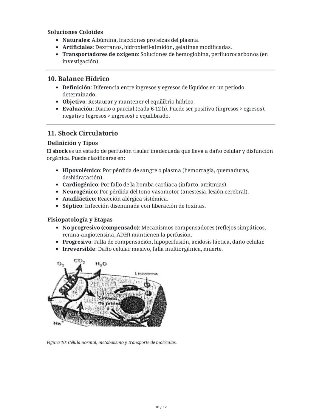 Cuidados de Enfermería en el Adulto: Líquidos, Electrolitos y
Shock
1. Bases Fisiológicas del Medio Interno
El medio interno se refiere al a