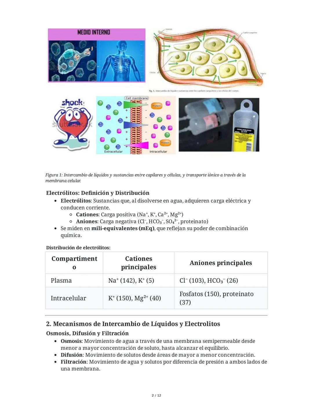 Cuidados de Enfermería en el Adulto: Líquidos, Electrolitos y
Shock
1. Bases Fisiológicas del Medio Interno
El medio interno se refiere al a