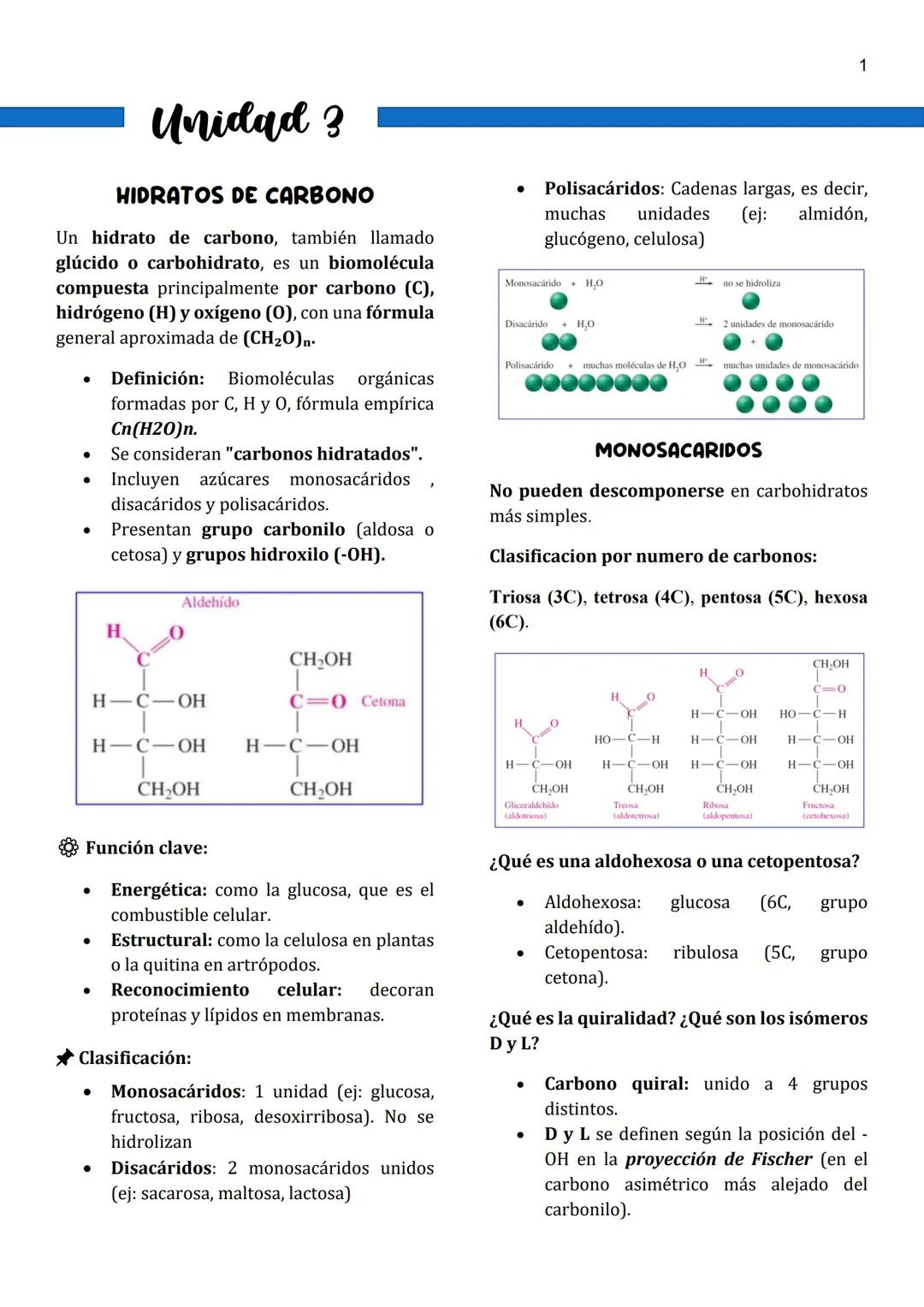 1
Unidad 3
HIDRATOS DE CARBONO
Un hidrato de carbono, también llamado
glúcido o carbohidrato, es un biomolécula
compuesta principalmente por