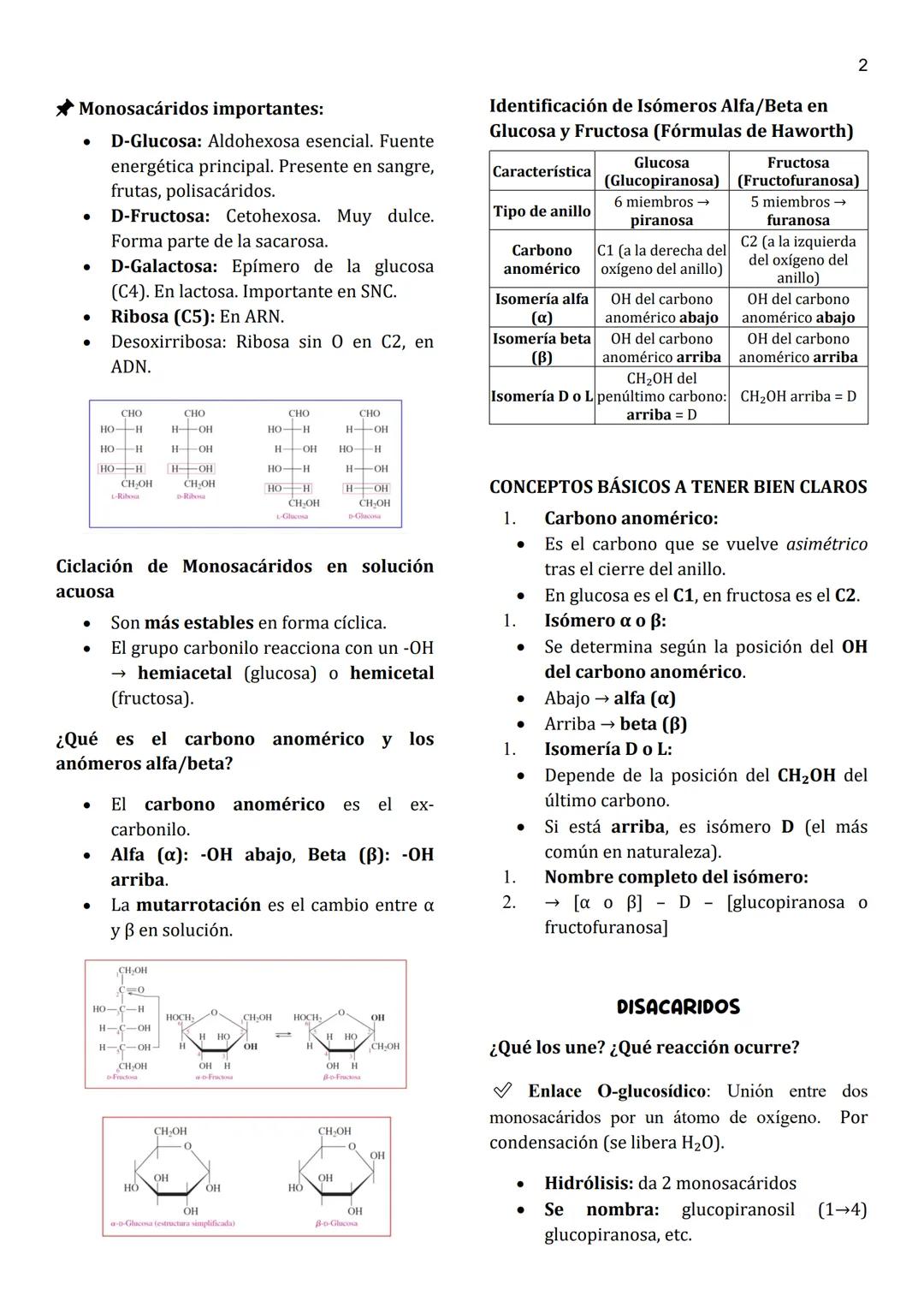 1
Unidad 3
HIDRATOS DE CARBONO
Un hidrato de carbono, también llamado
glúcido o carbohidrato, es un biomolécula
compuesta principalmente por