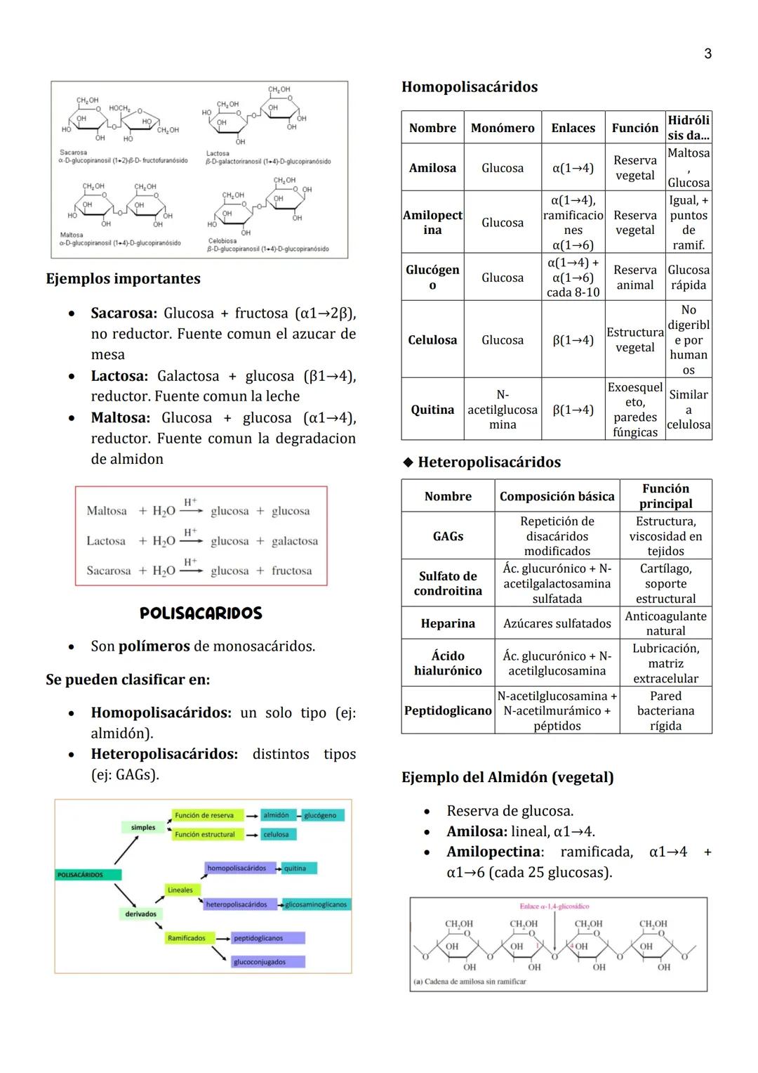 1
Unidad 3
HIDRATOS DE CARBONO
Un hidrato de carbono, también llamado
glúcido o carbohidrato, es un biomolécula
compuesta principalmente por