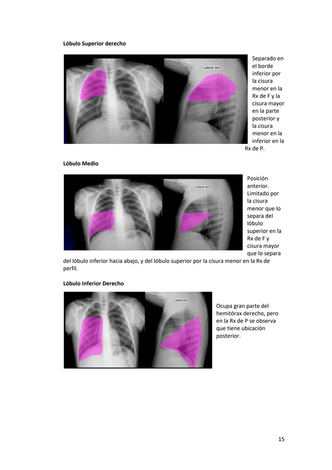 # DIAGNÓSTICO POR

# IMÁGENES – HNC

El siguiente resumen consiste en información e imágenes que la cátedra brinda a través de
los videos su