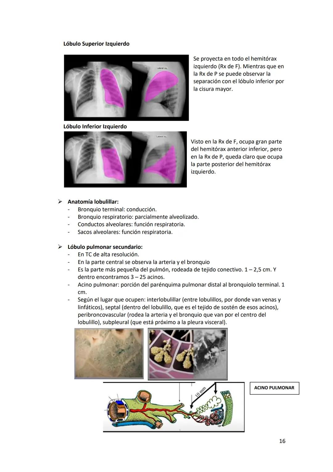 # DIAGNÓSTICO POR

# IMÁGENES – HNC

El siguiente resumen consiste en información e imágenes que la cátedra brinda a través de
los videos su