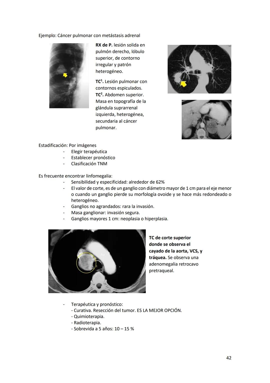 # DIAGNÓSTICO POR

# IMÁGENES – HNC

El siguiente resumen consiste en información e imágenes que la cátedra brinda a través de
los videos su