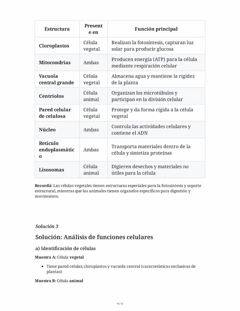 3 June 2025
Examen: Células Procariotas y Eucariotas
Tarea 1
Comparación de células procariotas y eucariotas
Completa la siguiente tabla com
