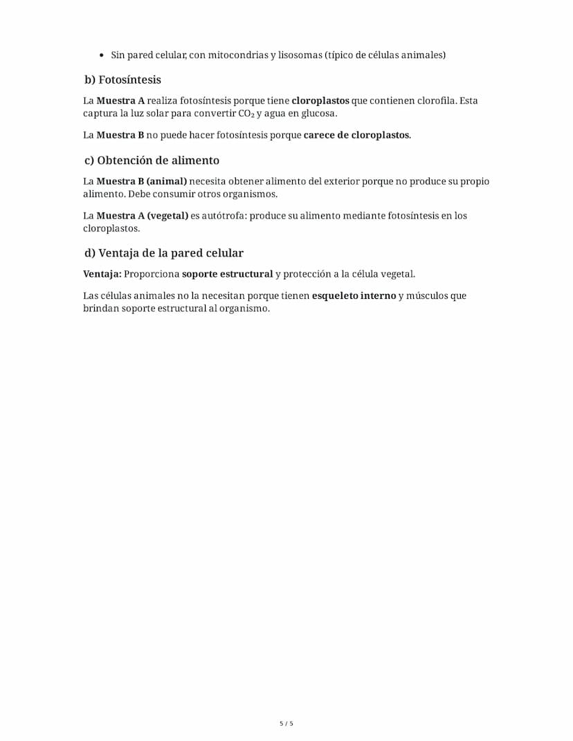 3 June 2025
Examen: Células Procariotas y Eucariotas
Tarea 1
Comparación de células procariotas y eucariotas
Completa la siguiente tabla com