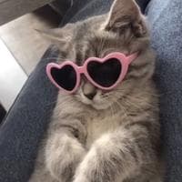 user profile picture
