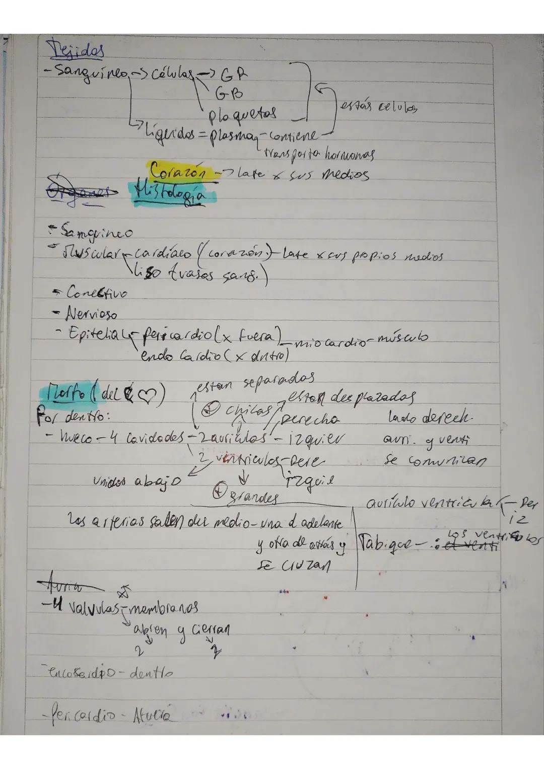 Sistema circulatorio
Biología
01/08/24
conduce $O$ y nutrientes a todas las células del cuerpo
Función
Deja esto y respiratorio
toma des