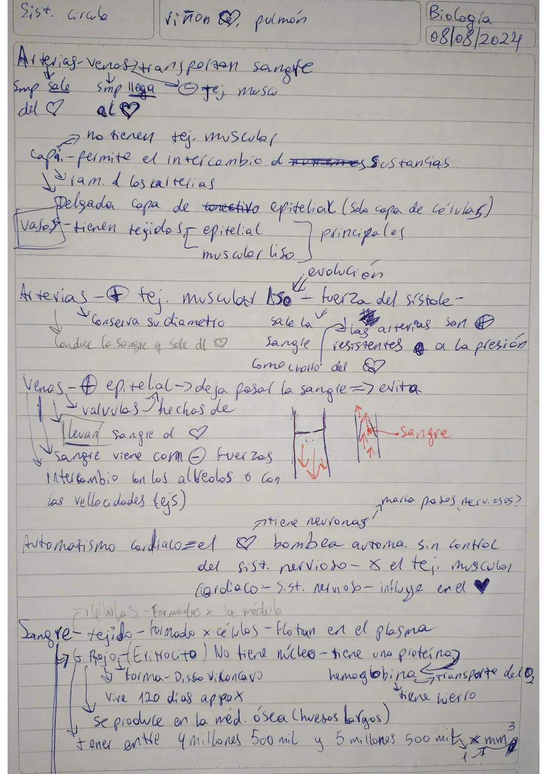 Sistema circulatorio
Biología
01/08/24
conduce $O$ y nutrientes a todas las células del cuerpo
Función
Deja esto y respiratorio
toma des