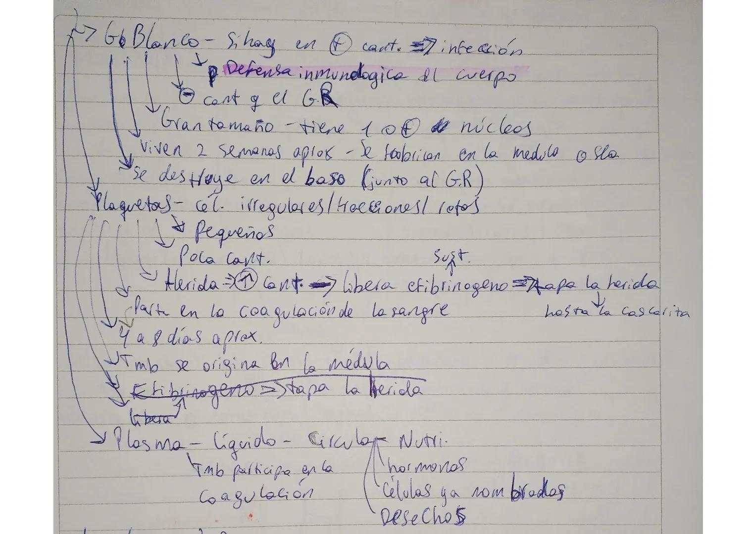 Sistema circulatorio
Biología
01/08/24
conduce $O$ y nutrientes a todas las células del cuerpo
Función
Deja esto y respiratorio
toma des