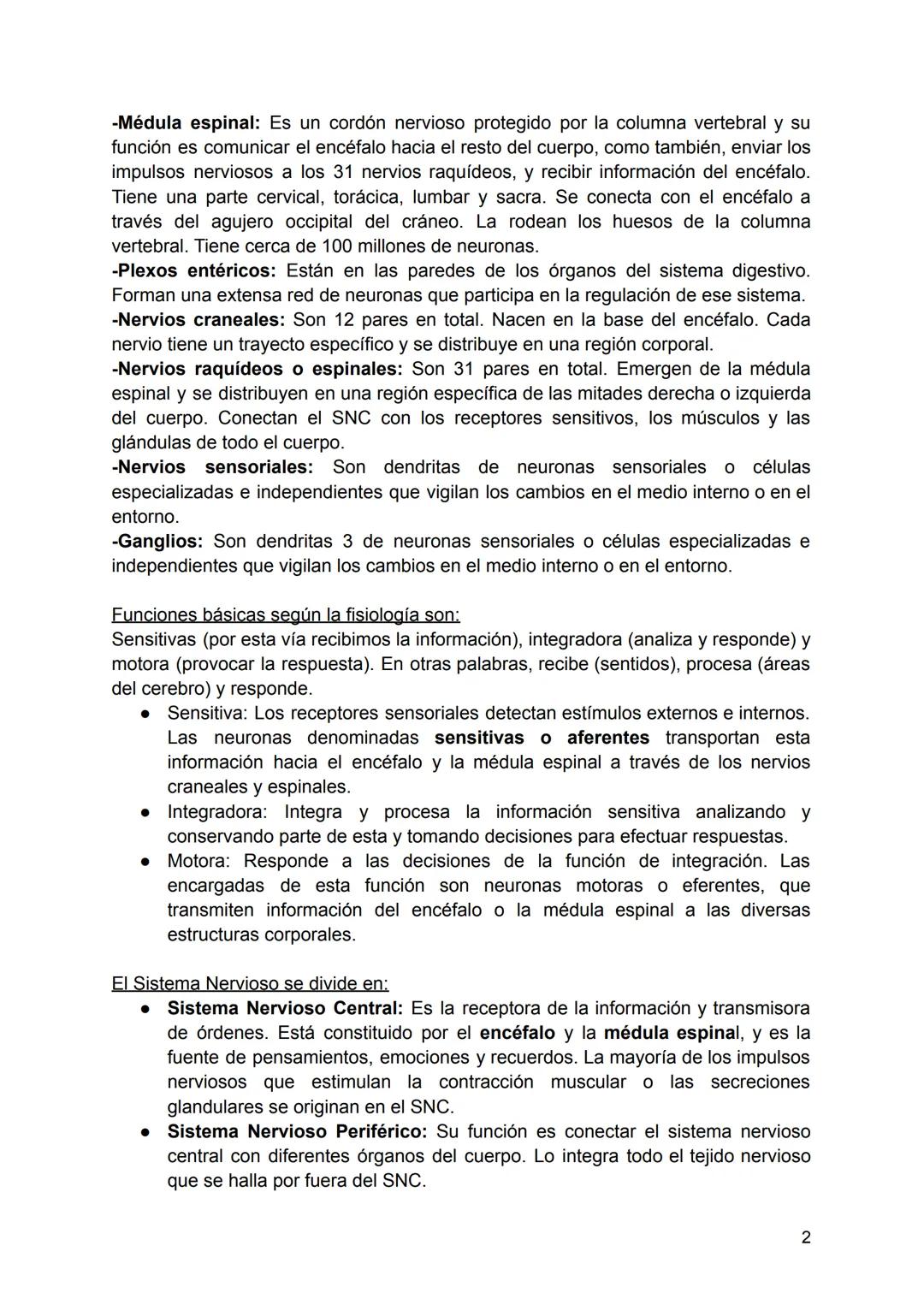 SISTEMA NERVIOSO
El Sistema Nervioso es un conjunto de neuronas que construyen una red interna
que abarca todo el cuerpo, se encarga de diri