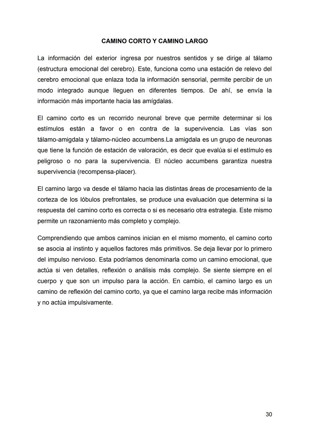 SISTEMA NERVIOSO
El Sistema Nervioso es un conjunto de neuronas que construyen una red interna
que abarca todo el cuerpo, se encarga de diri