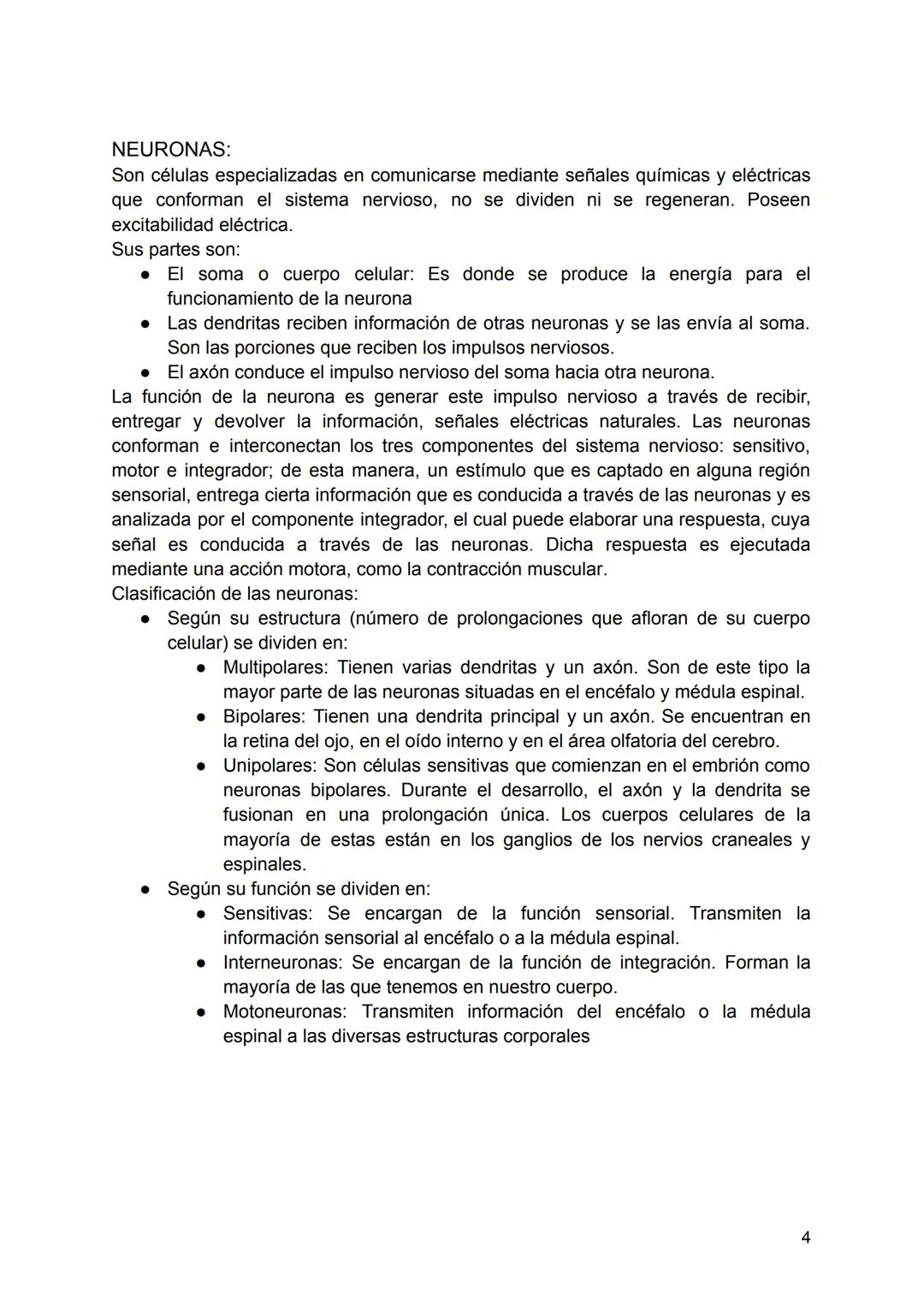 SISTEMA NERVIOSO
El Sistema Nervioso es un conjunto de neuronas que construyen una red interna
que abarca todo el cuerpo, se encarga de diri