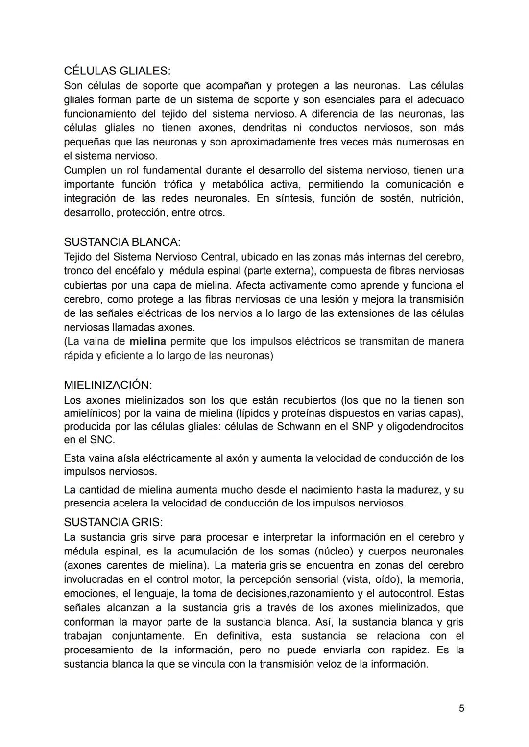 SISTEMA NERVIOSO
El Sistema Nervioso es un conjunto de neuronas que construyen una red interna
que abarca todo el cuerpo, se encarga de diri