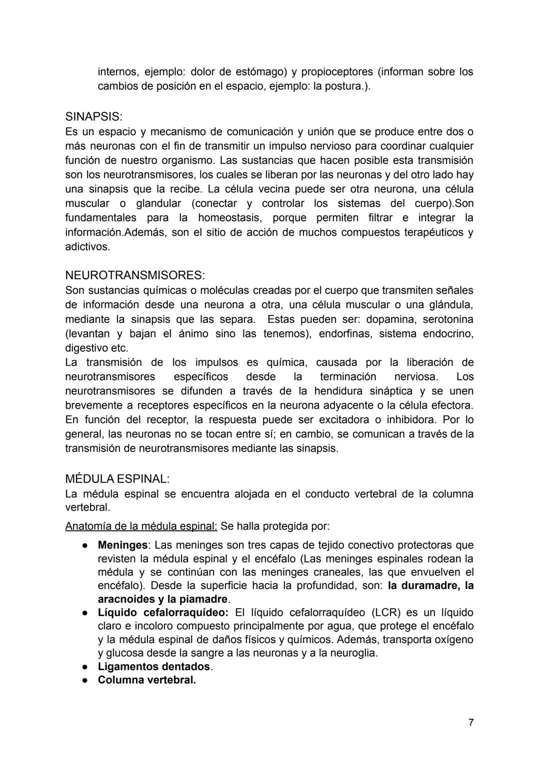 SISTEMA NERVIOSO
El Sistema Nervioso es un conjunto de neuronas que construyen una red interna
que abarca todo el cuerpo, se encarga de diri