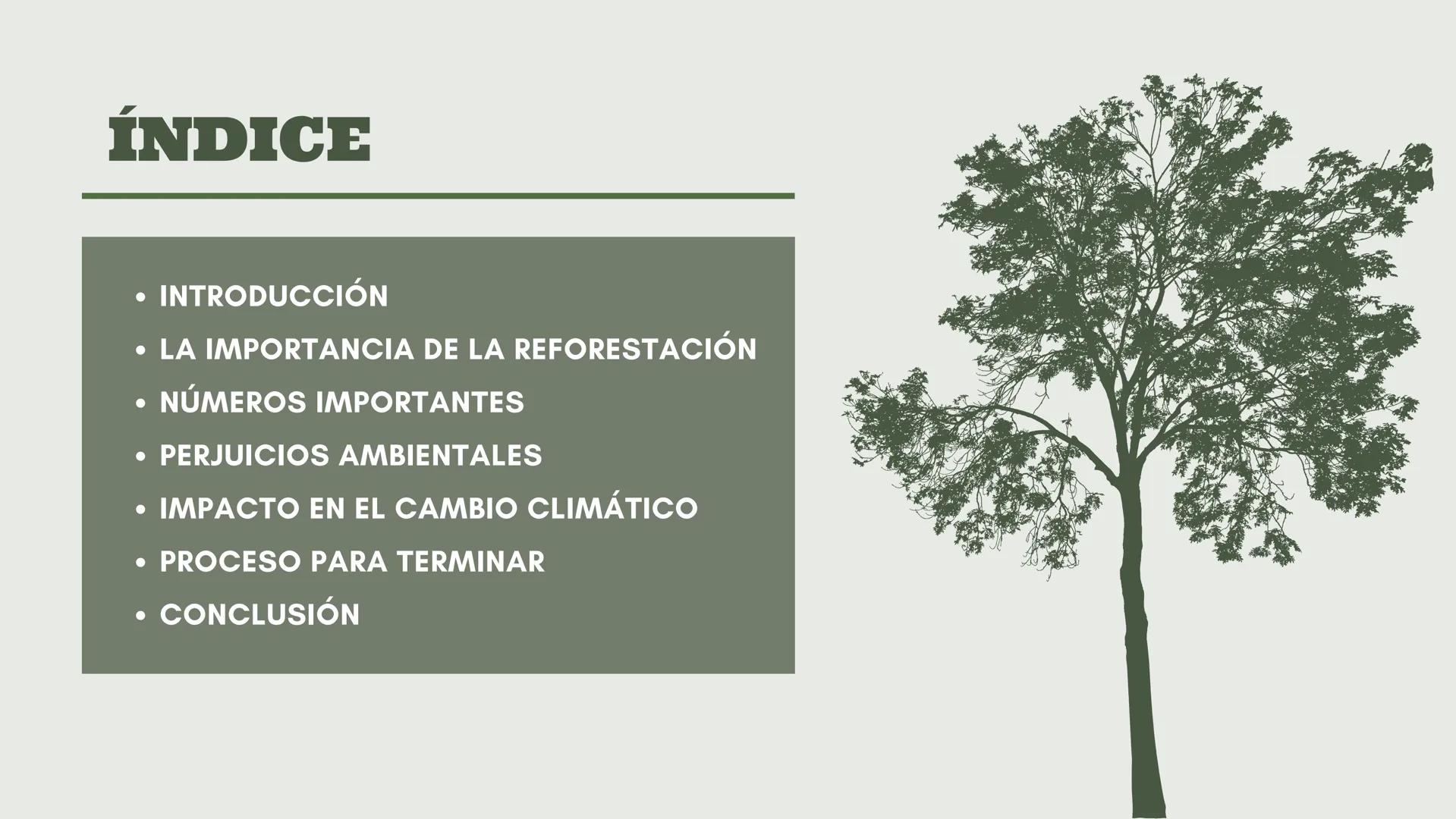 # DEFORESTACIÓN:
CONCIENTISACION SOBRE LA PÉRDIDA.
Acciones para un futuro mejor.
Una presentación de:
Gómez Eugenia Luana Milagros Fernán