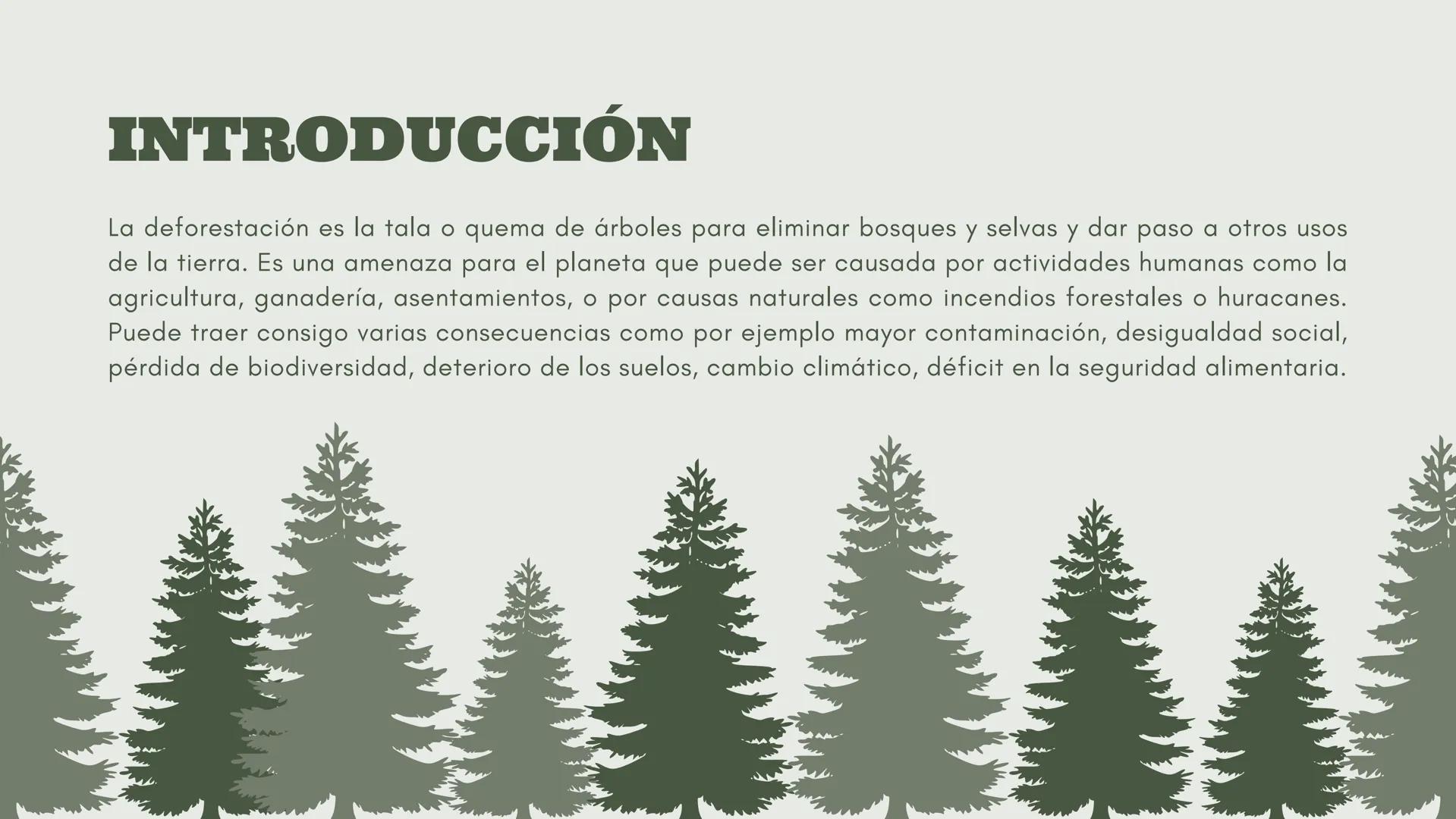 # DEFORESTACIÓN:
CONCIENTISACION SOBRE LA PÉRDIDA.
Acciones para un futuro mejor.
Una presentación de:
Gómez Eugenia Luana Milagros Fernán