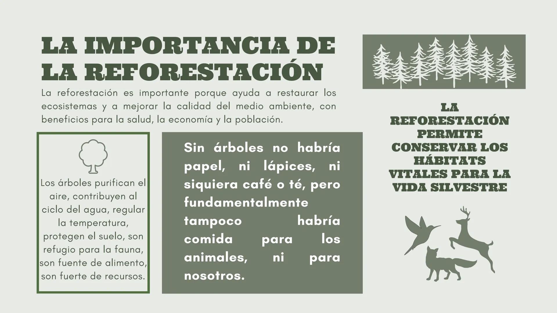 # DEFORESTACIÓN:
CONCIENTISACION SOBRE LA PÉRDIDA.
Acciones para un futuro mejor.
Una presentación de:
Gómez Eugenia Luana Milagros Fernán