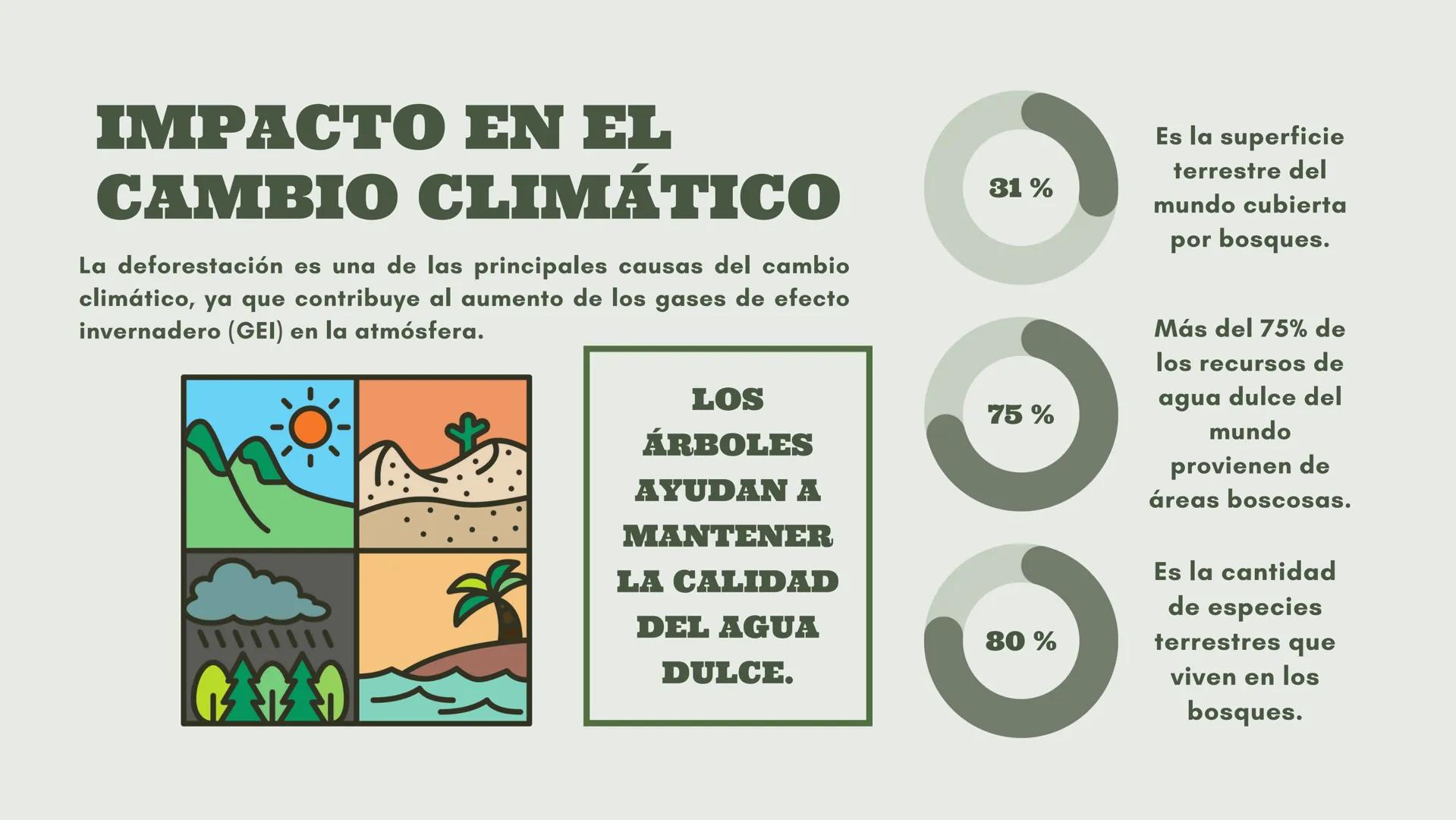 # DEFORESTACIÓN:
CONCIENTISACION SOBRE LA PÉRDIDA.
Acciones para un futuro mejor.
Una presentación de:
Gómez Eugenia Luana Milagros Fernán