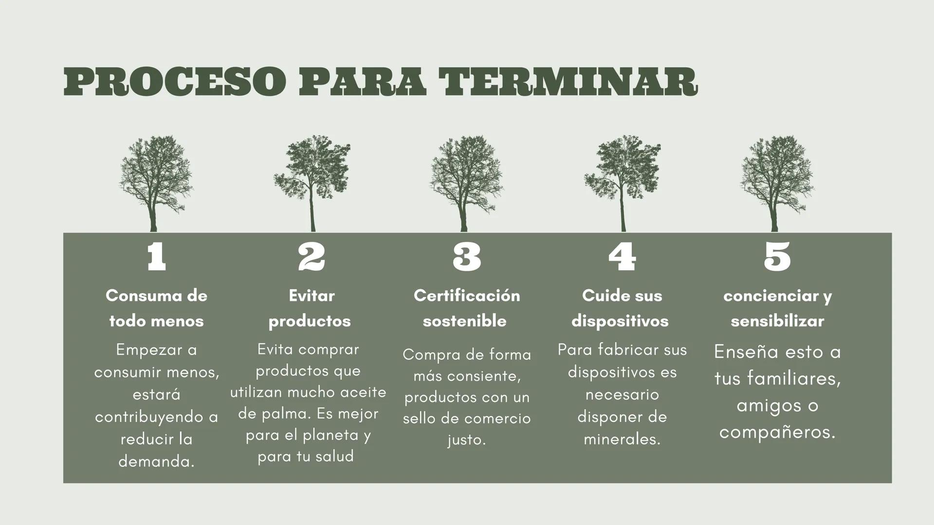 # DEFORESTACIÓN:
CONCIENTISACION SOBRE LA PÉRDIDA.
Acciones para un futuro mejor.
Una presentación de:
Gómez Eugenia Luana Milagros Fernán