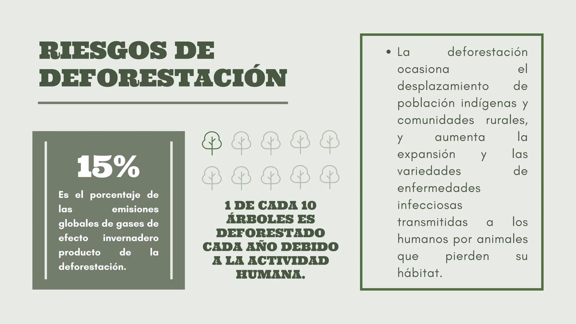 # DEFORESTACIÓN:
CONCIENTISACION SOBRE LA PÉRDIDA.
Acciones para un futuro mejor.
Una presentación de:
Gómez Eugenia Luana Milagros Fernán