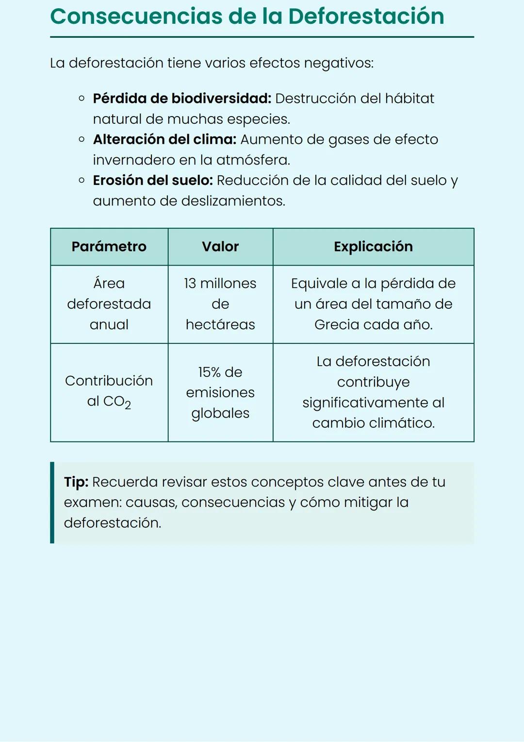 # La Deforestación y su
# Impacto
Entendiendo las consecuencias ambientales y
sociales
## ¿Qué es la Deforestación?
La deforestación es e
