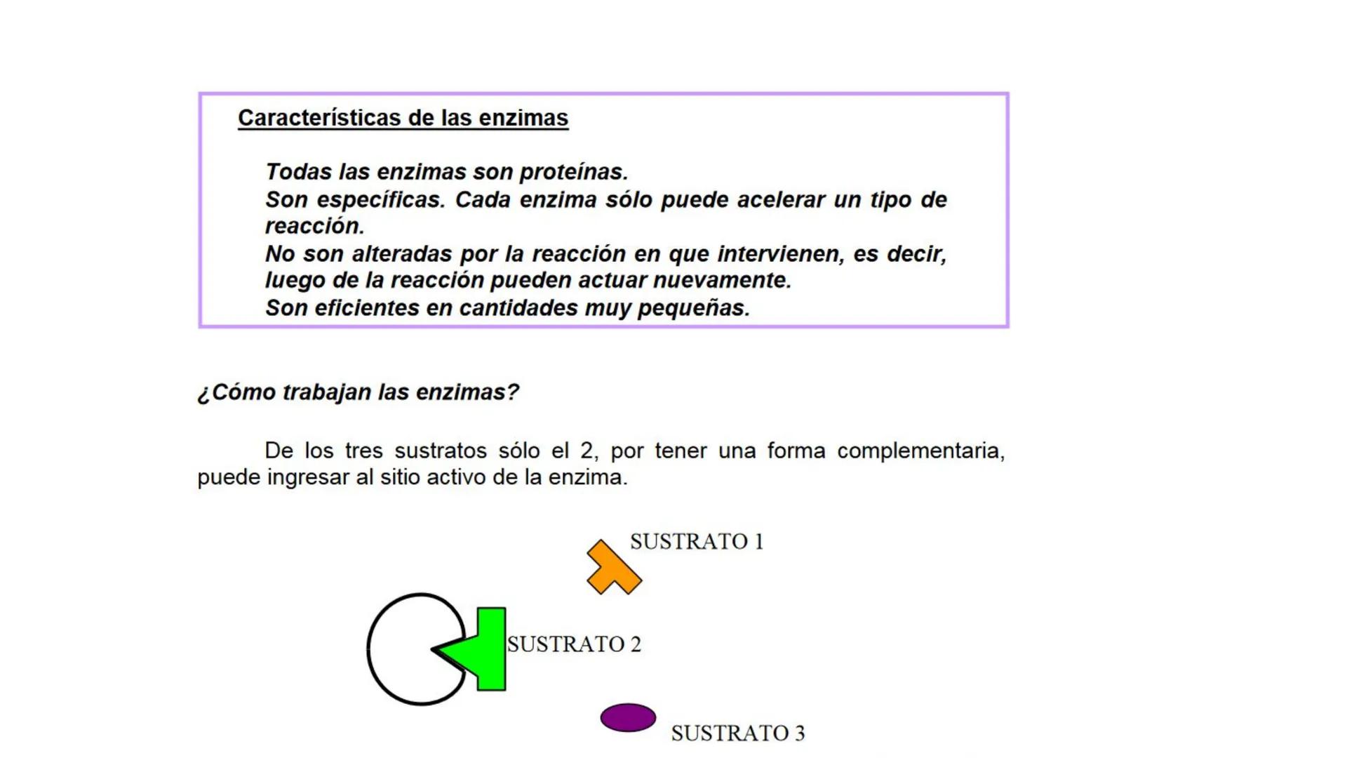 # BIOMOLÉCULAS # BIOMOLÉCULAS
• Las biomoléculas son moléculas orgánicas e inorgánicas
presentes en los seres vivos que desempeñan funcione