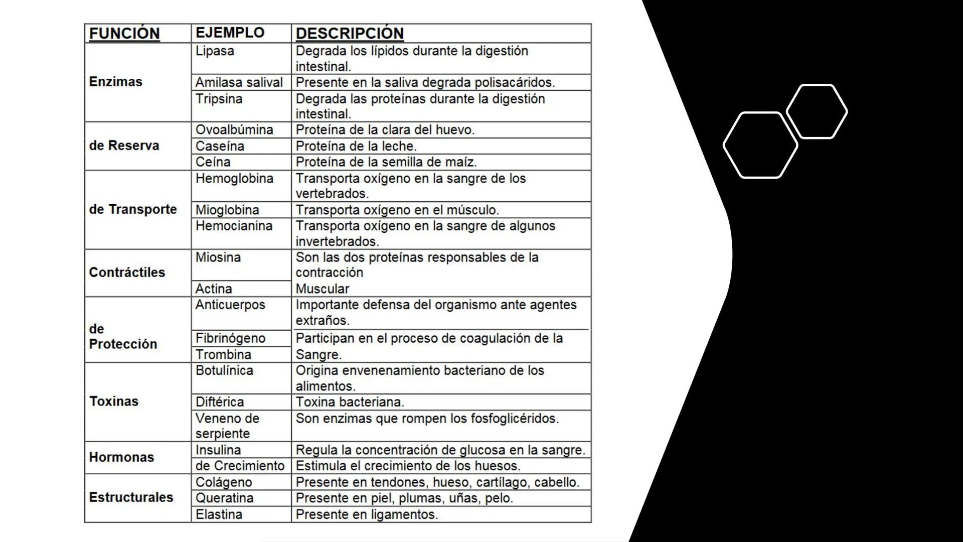 # BIOMOLÉCULAS # BIOMOLÉCULAS
• Las biomoléculas son moléculas orgánicas e inorgánicas
presentes en los seres vivos que desempeñan funcione