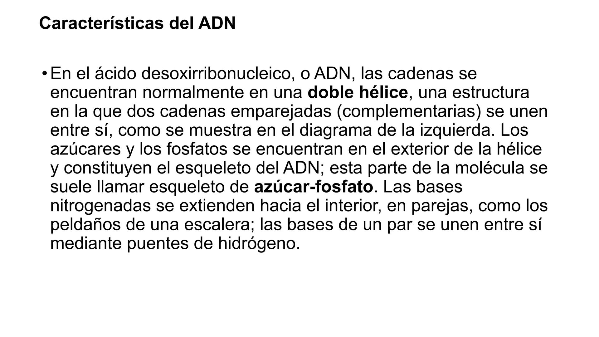# BIOMOLÉCULAS # BIOMOLÉCULAS
• Las biomoléculas son moléculas orgánicas e inorgánicas
presentes en los seres vivos que desempeñan funcione