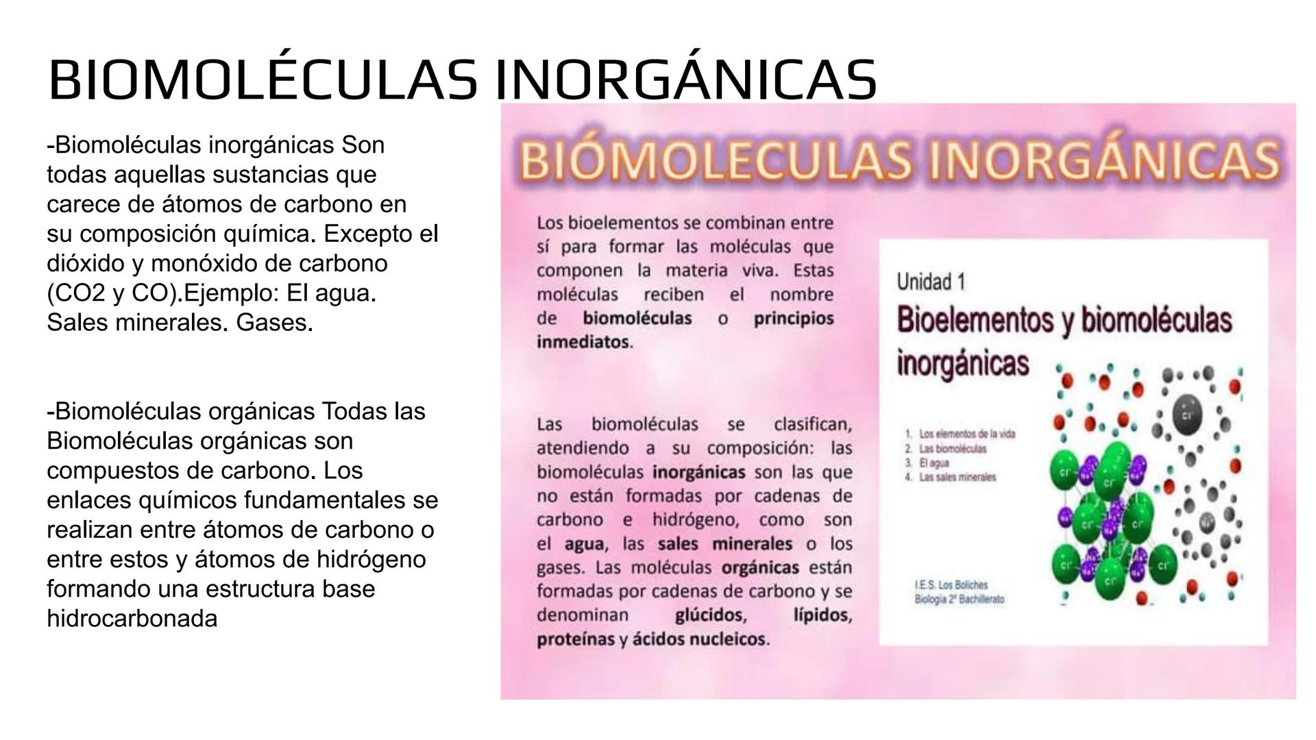# BIOMOLÉCULAS # BIOMOLÉCULAS
• Las biomoléculas son moléculas orgánicas e inorgánicas
presentes en los seres vivos que desempeñan funcione