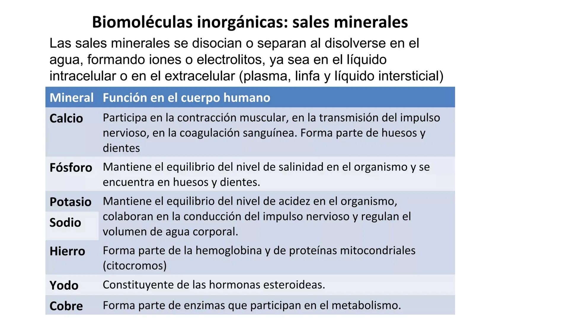 # BIOMOLÉCULAS # BIOMOLÉCULAS
• Las biomoléculas son moléculas orgánicas e inorgánicas
presentes en los seres vivos que desempeñan funcione