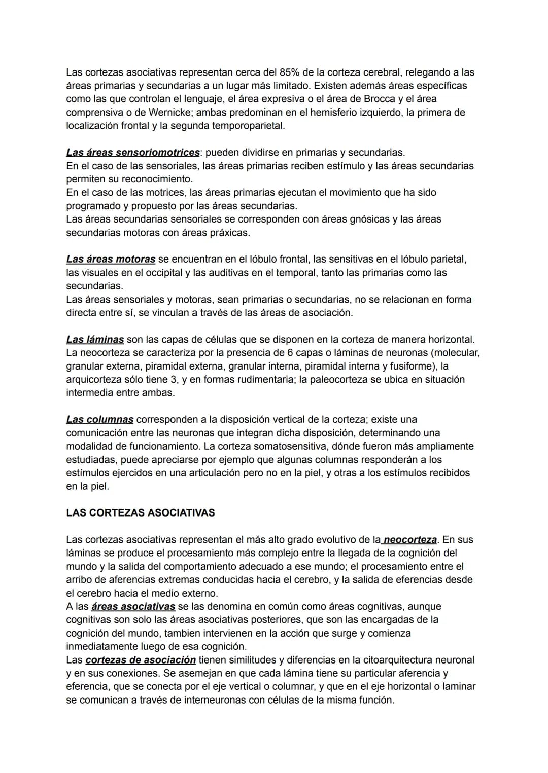 # Neuro
Neuroanatomía y Neurofisiología PROGRAMA 2023
NEUROANATOMIA Y NEUROFISIOLOGIA - UNLP
Unidad I:
La Neuroanatomía y Neurofisiología e