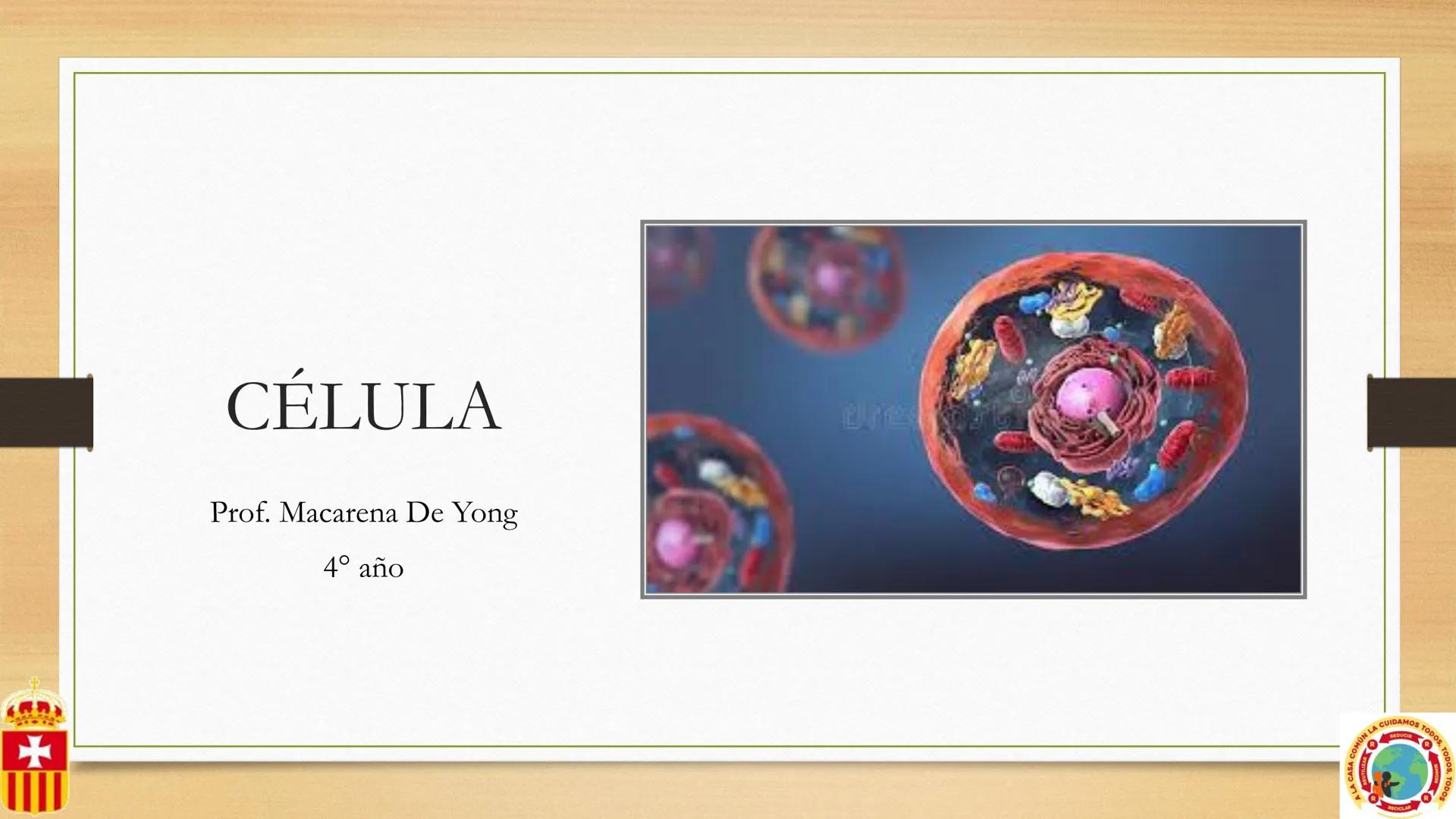 +
# CÉLULA
Prof. Macarena De Yong
4° año
MUN LA CUIDAMOS TODOS, TODOS, TODO
RREDUCIRO
ALA
RECICLAR # Definición
La célula es la unidad est