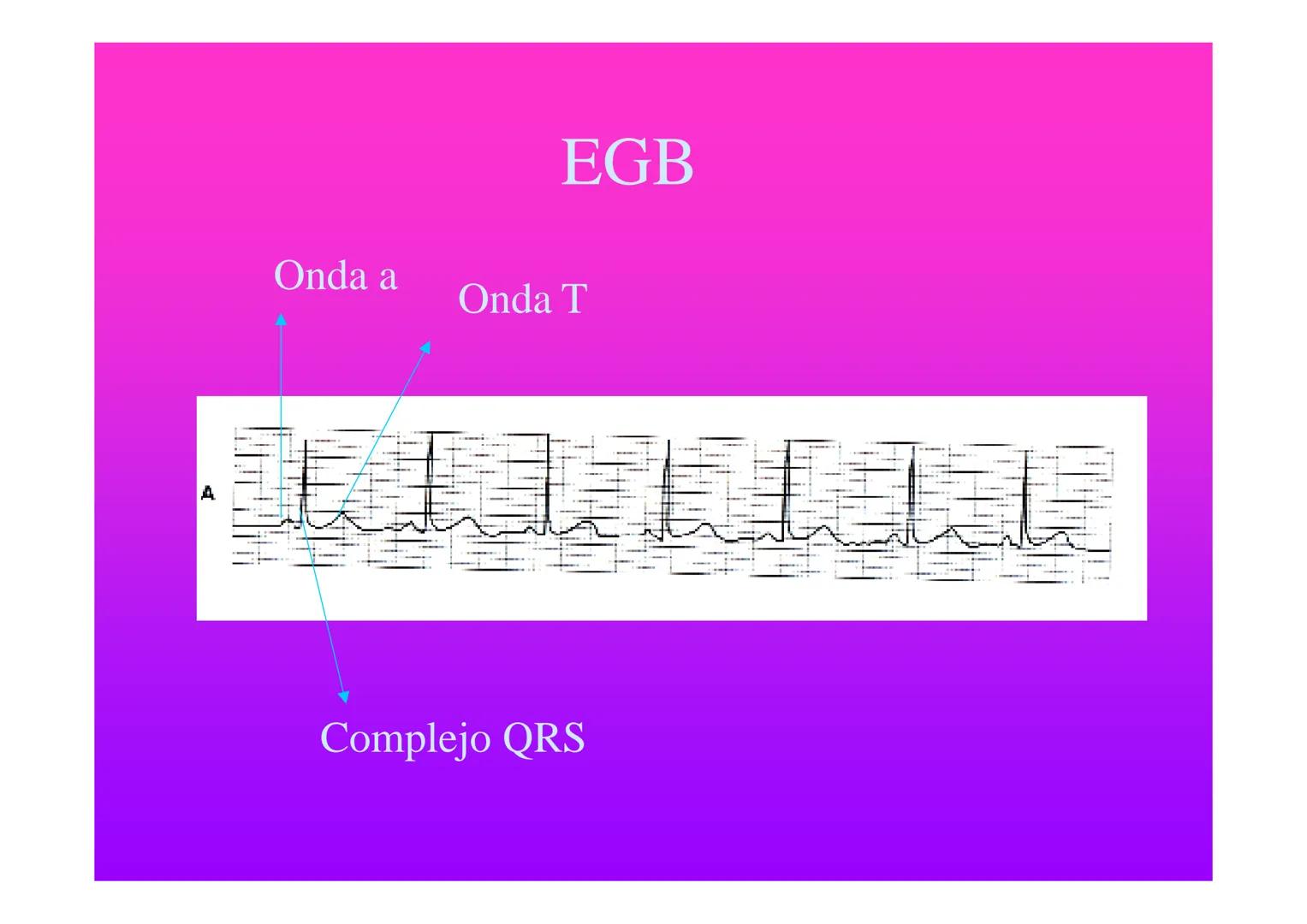APARATO
CARDIOVASCULAR # CORAZÓN
Órgano muscular
provisto de cuatro
valvulas y cuatro
cavidades que mueve
sangre a través de un
circuito de