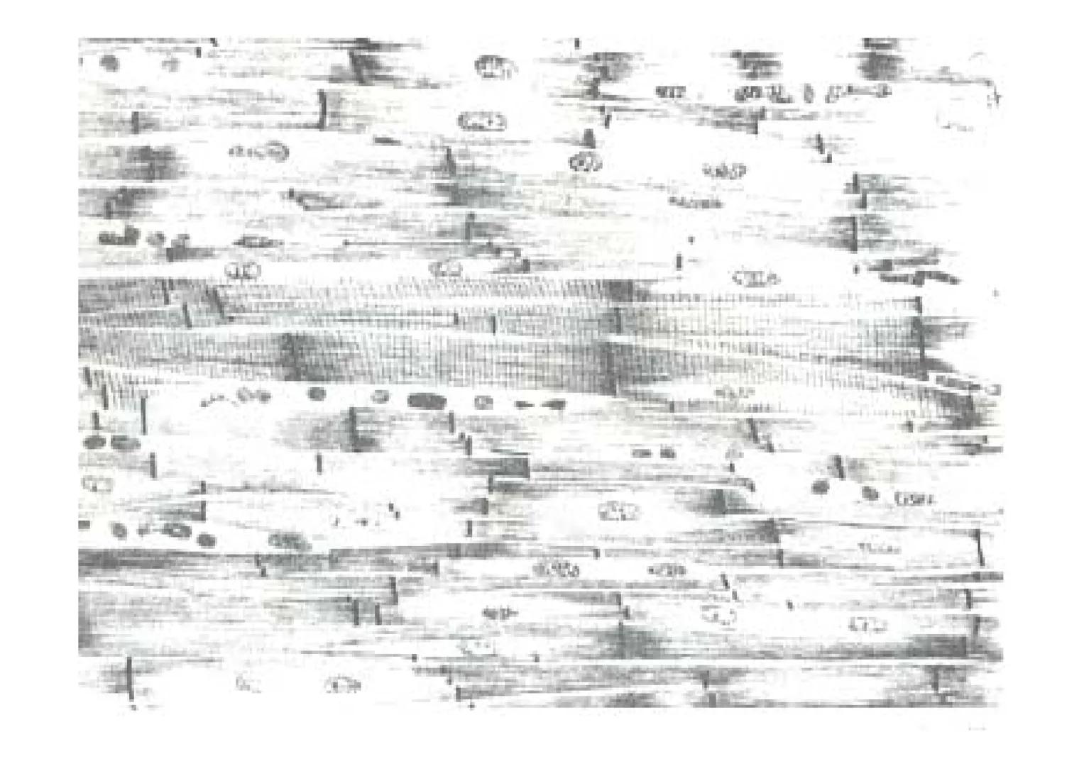 APARATO
CARDIOVASCULAR # CORAZÓN
Órgano muscular
provisto de cuatro
valvulas y cuatro
cavidades que mueve
sangre a través de un
circuito de